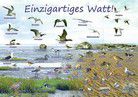 Poster - Einzigartiges Watt