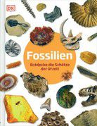 Fossilien - Entdecke die Schätze der Urzeit