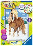 Haflinger im Schnee — Malen nach Zahlen