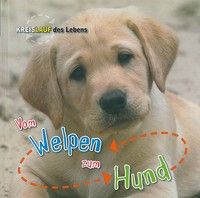 Vom Welpen zum Hund - Kreislauf des Lebens