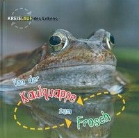 Von der Kaulquappe zum Frosch - Kreislauf des Lebens