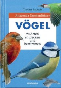 Vögel - 70 Arten entdecken und bestimmen