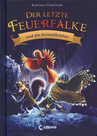 Der letzte Feuerfalke und die Kristallhöhlen (Band 2)