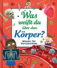 Was weißt du über den Körper? - Wissen für Vorschulkids