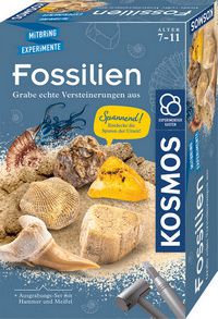 Fossilien - Grabe echte Versteinerungen selbst aus (mit Hammer und Meißel) - Mitbringspiel